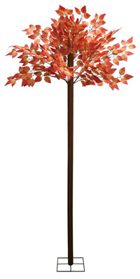 �I�[�^�����[�t����