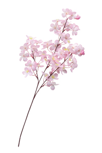 �����u�����`