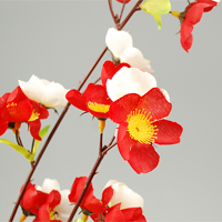 �~�X�v���[�i�g���~�b�N�X�j