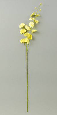 �I���V�W���[��